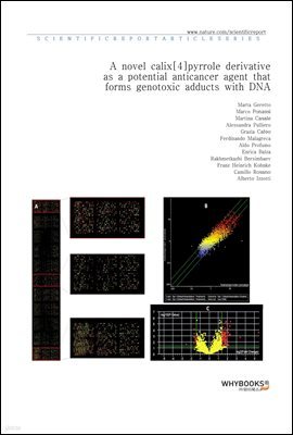 A novel calix[4]pyrrole derivative as a potential anticancer agent that forms genotoxic adducts with DNA