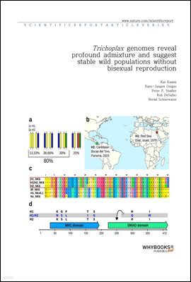 Trichoplax genomes reveal profound admixture and suggest stable wild populations without bisexual reproduction