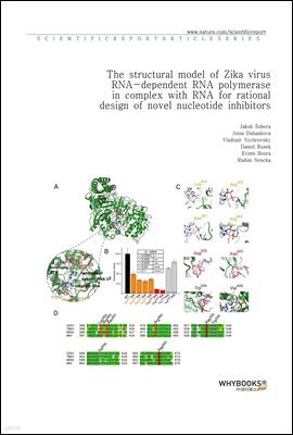 The structural model of Zika virus RNA-dependent RNA polymerase in complex with RNA for rational design of novel nucleotide inhibitors