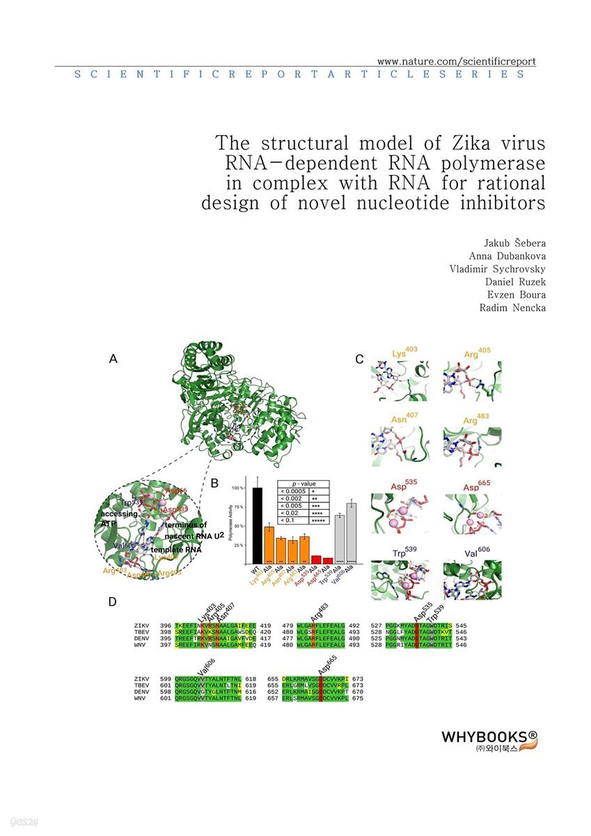 The structural model of Zika virus RNA-dependent RNA polymerase in complex with RNA for rational design of novel nucleotide inhibitors