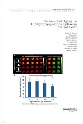 The Impact of Ageing on 11C-Hydroxyephedrine Uptake in the Rat Heart