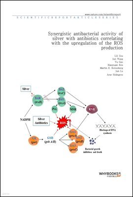 Synergistic antibacterial activity of silver with antibiotics correlating with the upregulation of the ROS production