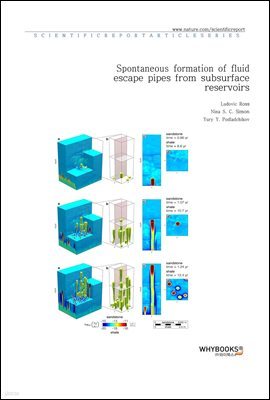 Spontaneous formation of fluid escape pipes from subsurface reservoirs