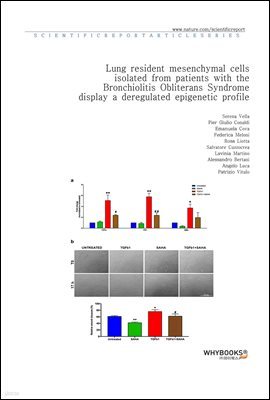 Lung resident mesenchymal cells isolated from patients with the Bronchiolitis Obliterans Syndrome display a deregulated epigenetic profile