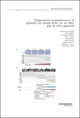 Temperature responsiveness of gilthead sea bream bone; an in vitro and in vivo approach