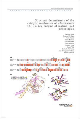 Structural determinants of the catalytic mechanism of Plasmodium CCT, a key enzyme of malaria lipid biosynthesis