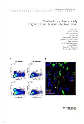 Neutrophils enhance early Trypanosoma brucei infection onset