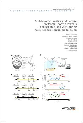 Metabolomic analysis of mouse prefrontal cortex reveals upregulated analytes during wakefulness compared to sleep