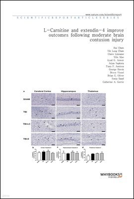 L-Carnitine and extendin-4 improve outcomes following moderate brain contusion injury