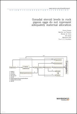 Gonadal steroid levels in rock pigeon eggs do not represent adequately maternal allocation