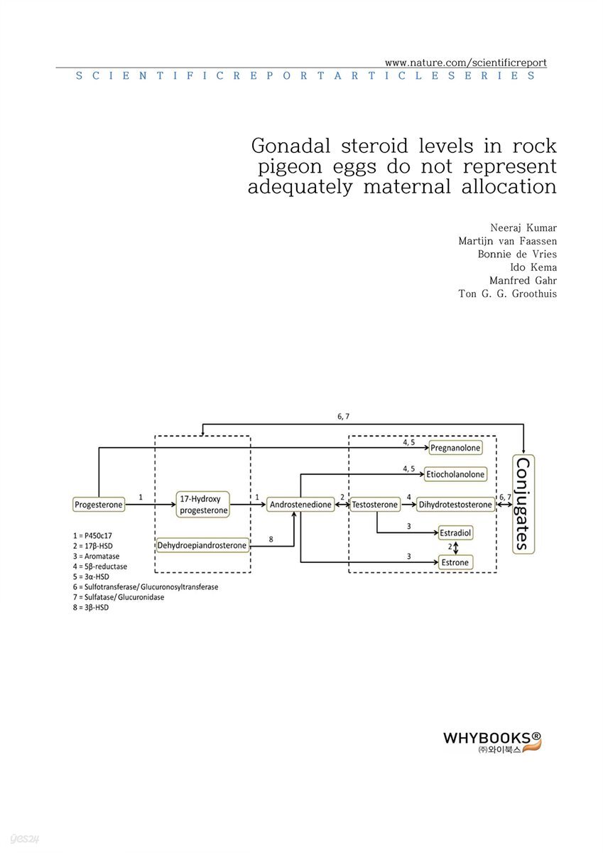 Gonadal steroid levels in rock pigeon eggs do not represent adequately maternal allocation