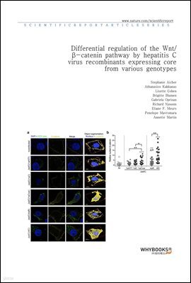 Differential regulation of the Wnt-catenin pathway by hepatitis C virus recombinants expressing core from various genotypes