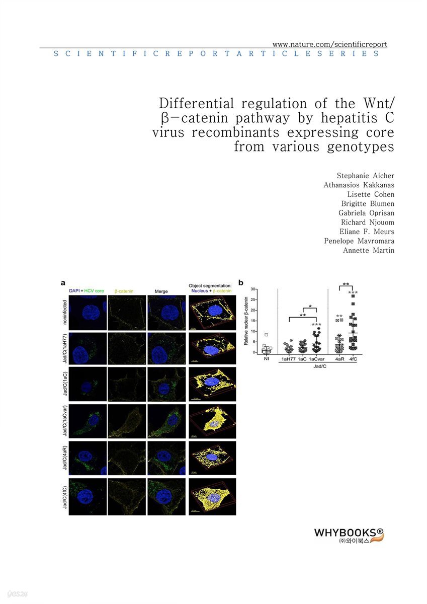 Differential regulation of the Wntβ-catenin pathway by hepatitis C virus recombinants expressing core from various genotypes