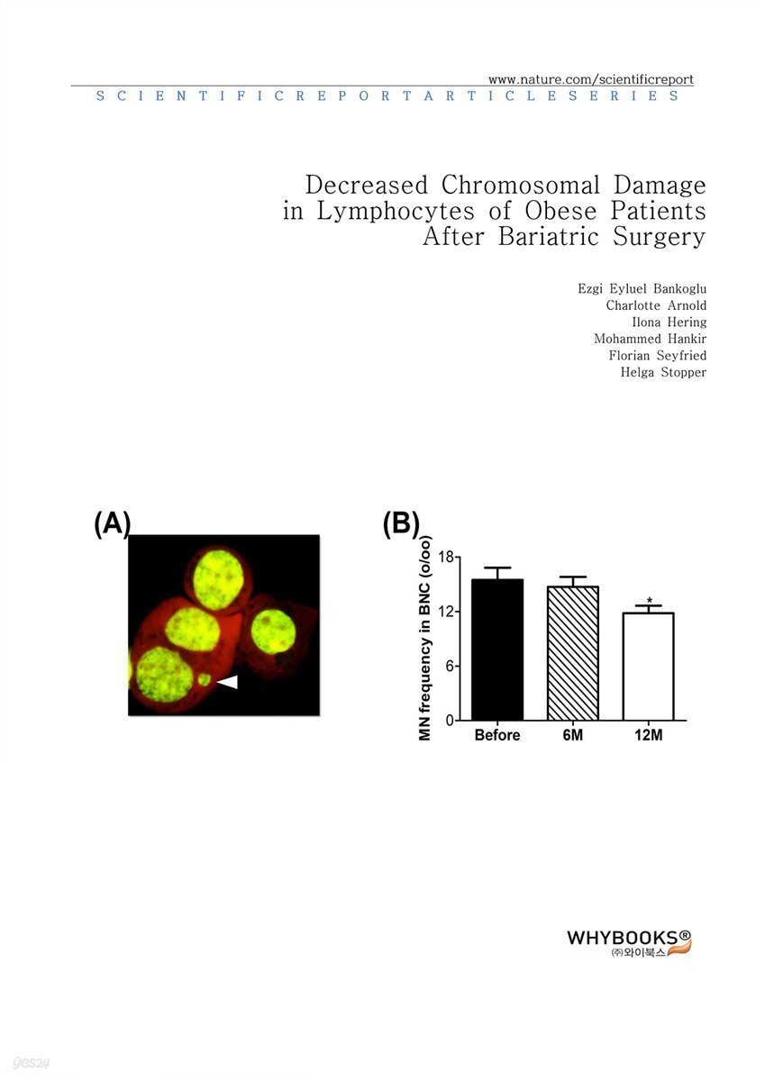 Decreased Chromosomal Damage in Lymphocytes of Obese Patients After Bariatric Surgery