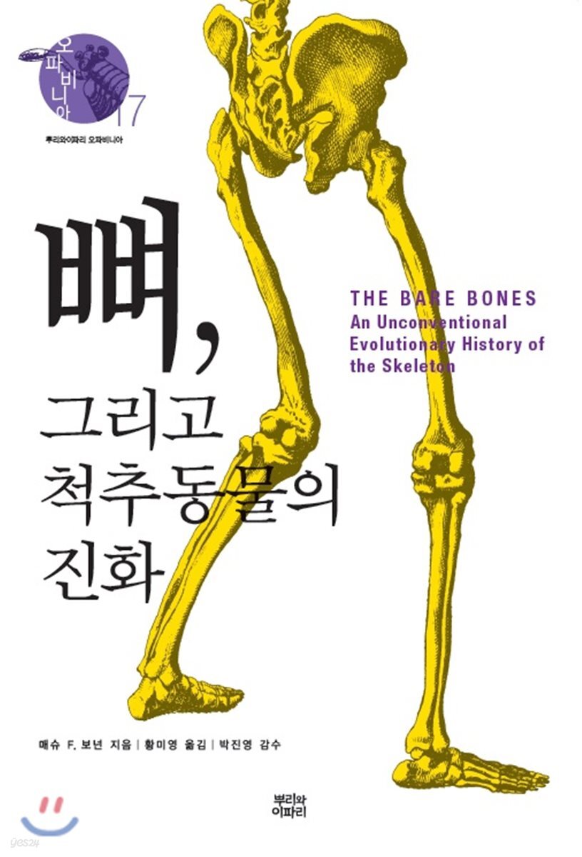 뼈, 그리고 척추동물의 진화