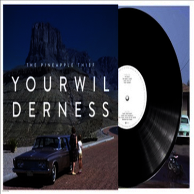 Pineapple Thief — Your Wilderness 앨범 커버