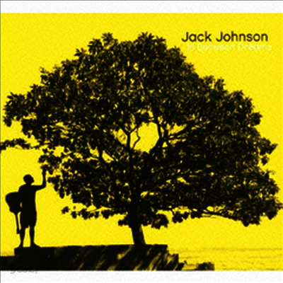 Jack Johnson - In Between Dreams (Bonus Track)(SHM-CD)(일본반)