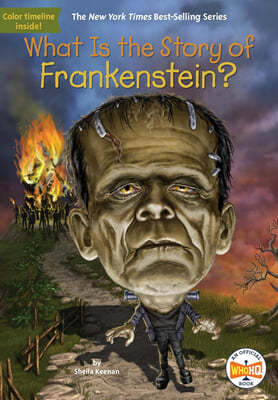 What Is the Story of Frankenstein?