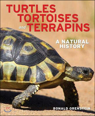 Turtles, Tortoises and Terrapins: A Natural History