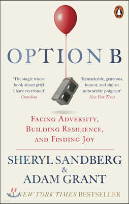 Option B ()