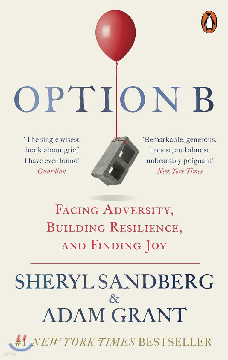 Option B (영국판)