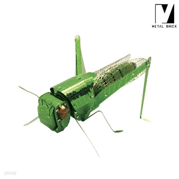 DIY 3D 이노 메탈 퍼즐 조립 곤충 모형 메뚜기