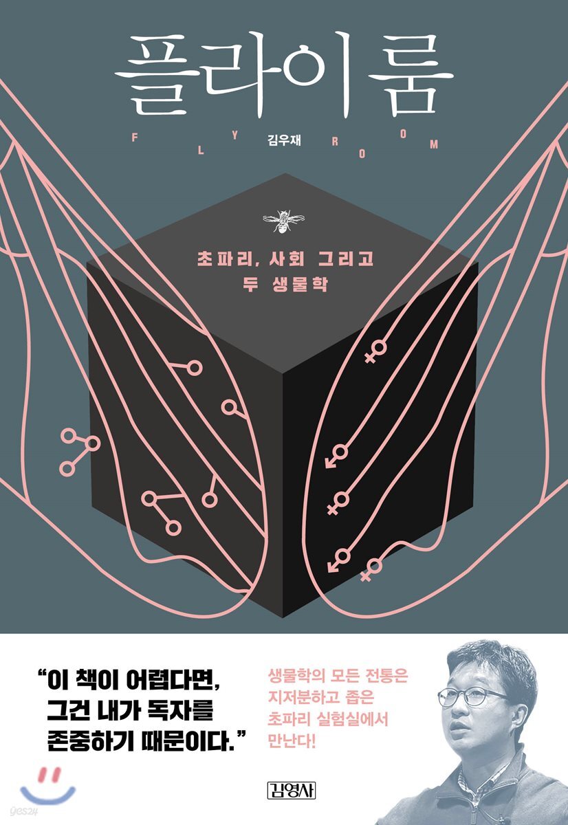 플라이룸