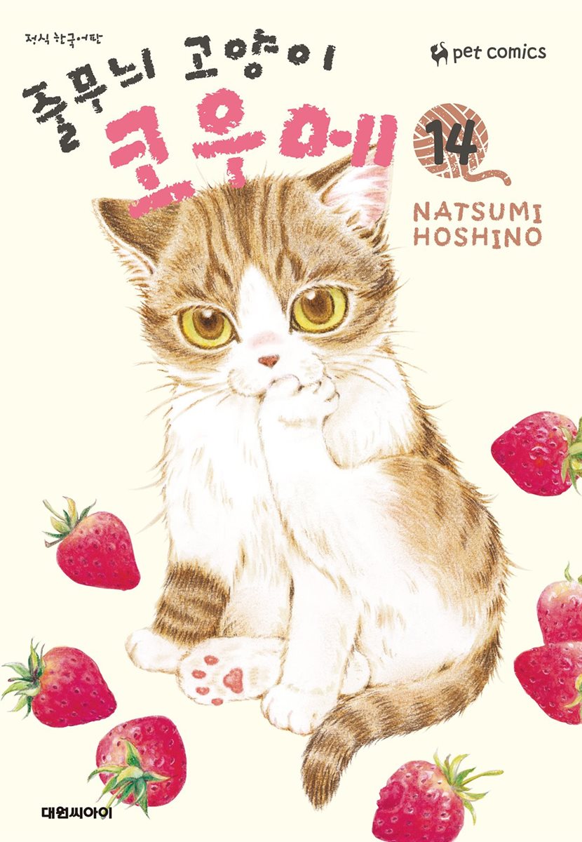 줄무늬 고양이 코우메 14권