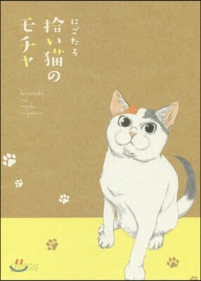 拾い猫のモチャ