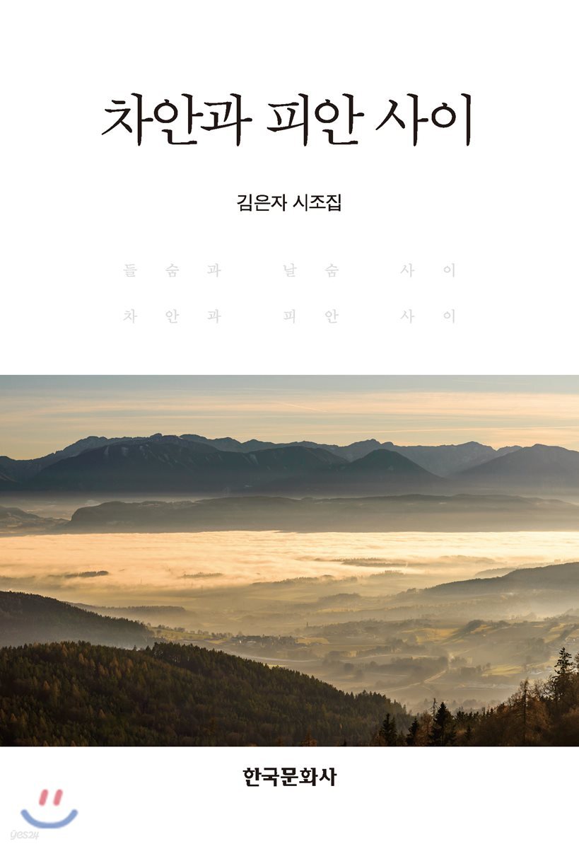 차안과 피안 사이