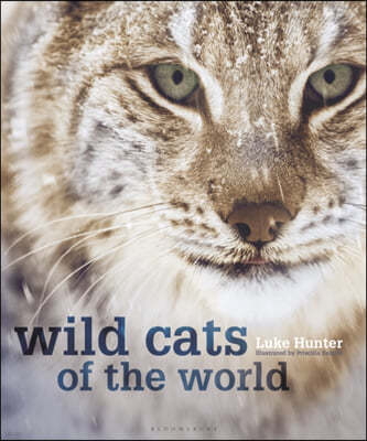 Wild Cats of the World