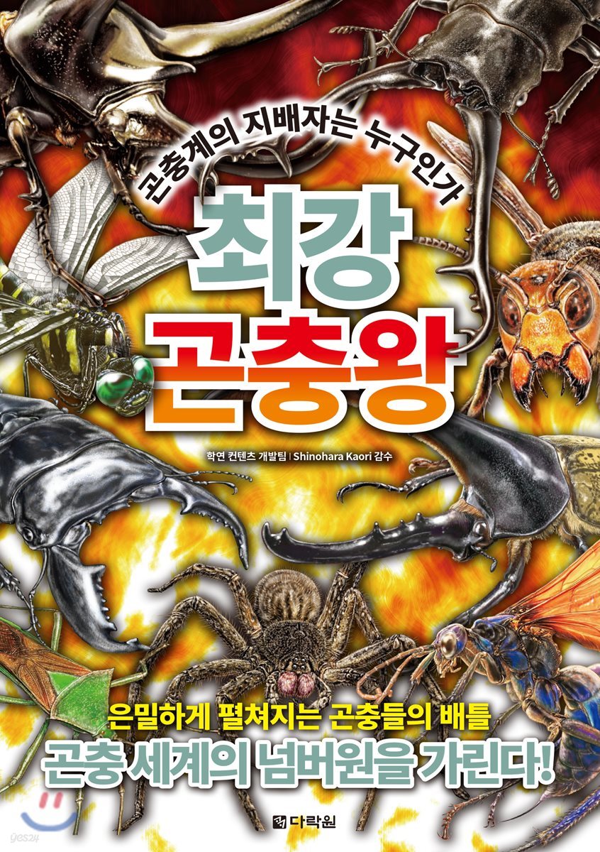 최강 곤충왕