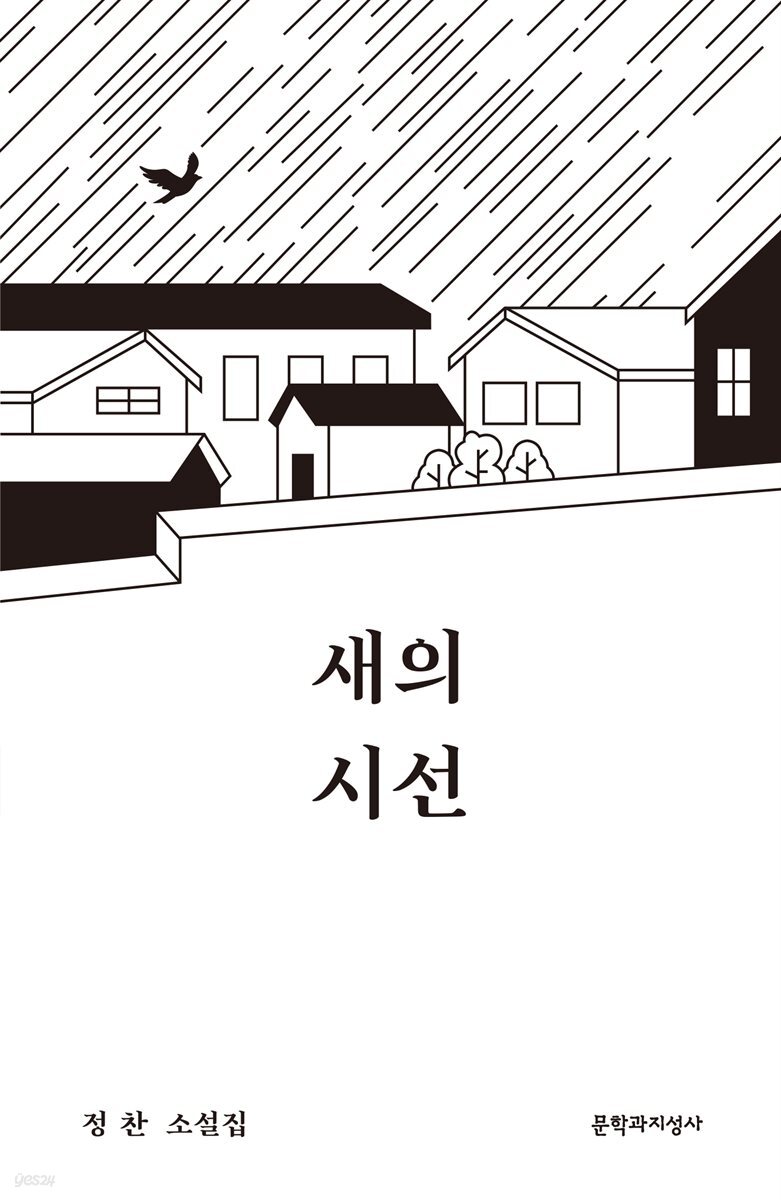 새의 시선