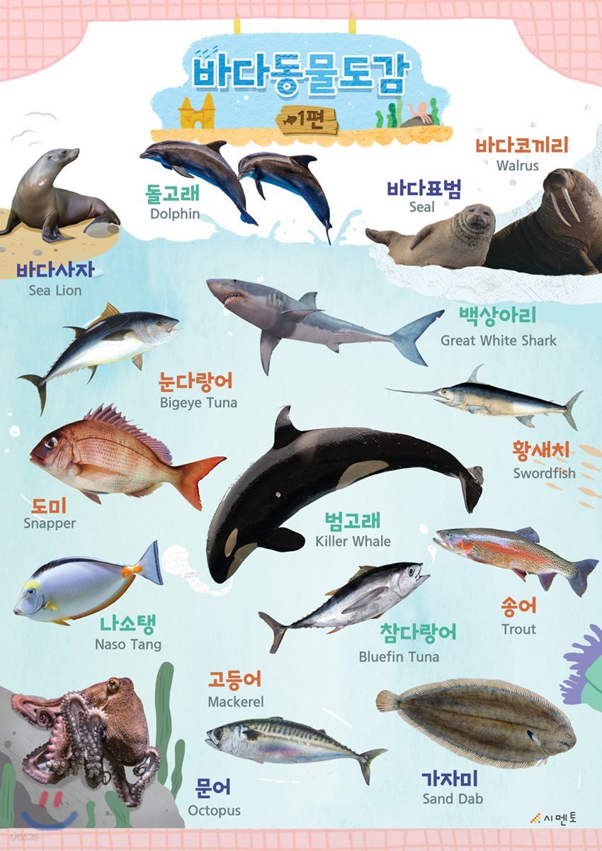 시멘토 학습벽보 학습앱 바다동물도감 1