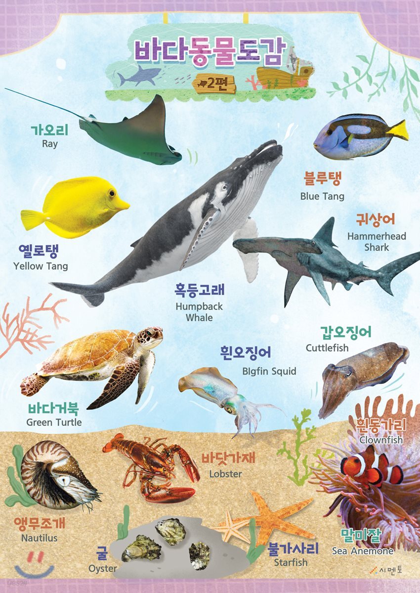 시멘토 학습벽보 학습앱 바다동물도감 2
