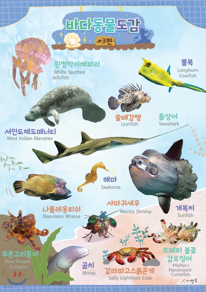 시멘토 학습벽보 학습앱 바다동물도감 3