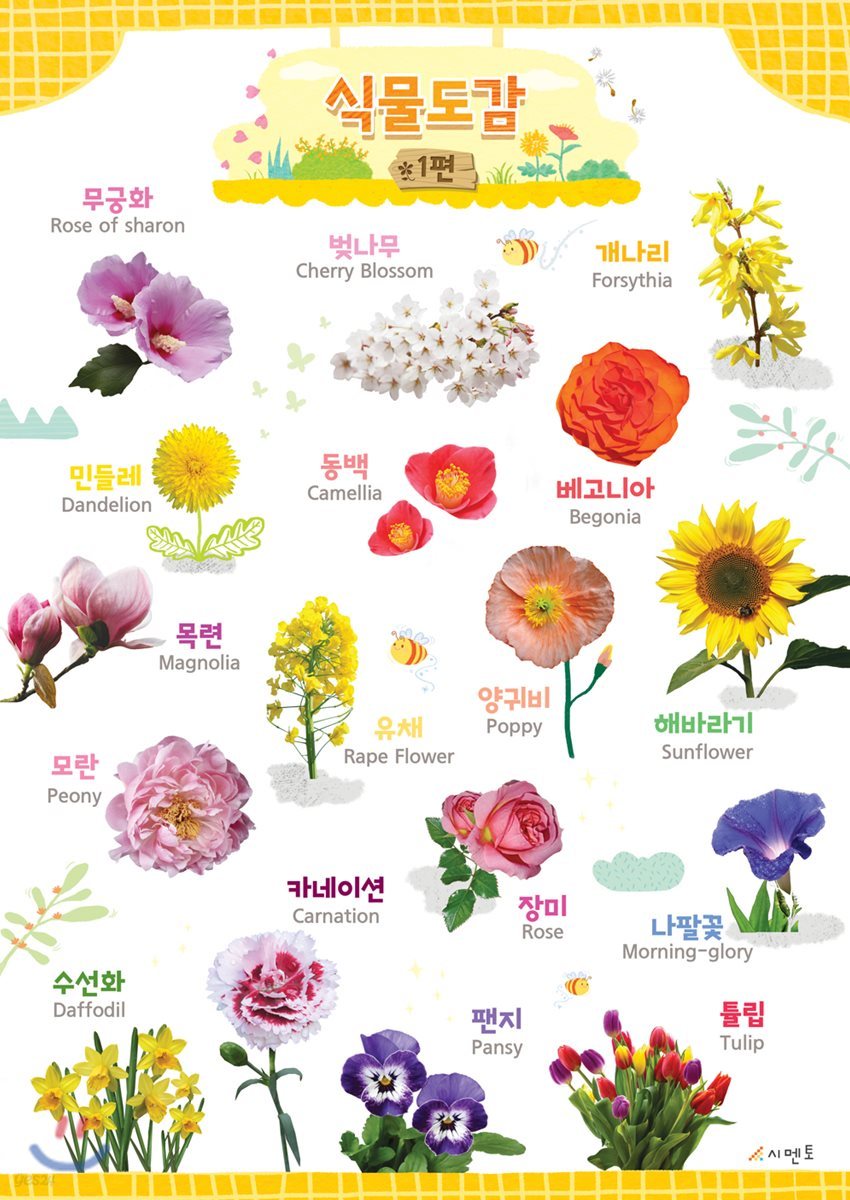시멘토 학습벽보 학습앱 식물도감 1