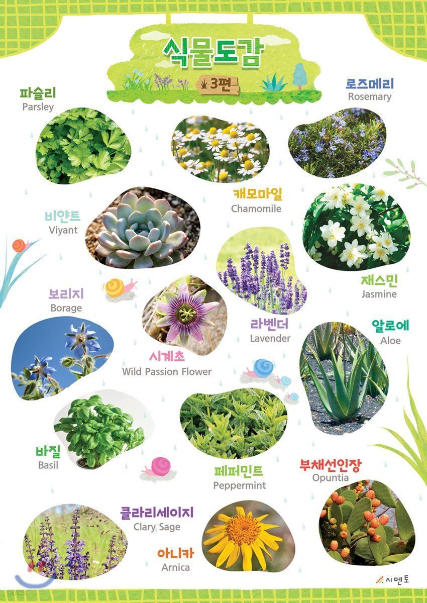 시멘토 학습벽보 학습앱 식물도감 3