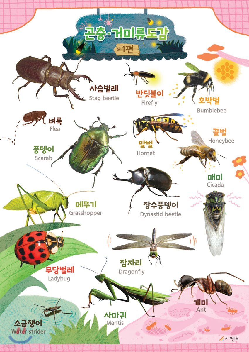 시멘토 학습벽보 학습앱 곤충거미류 1