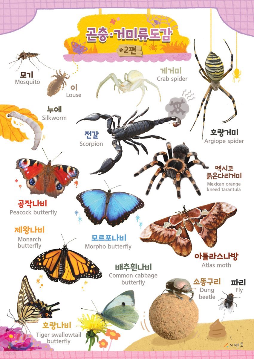 시멘토 학습벽보 학습앱 곤충거미류 2
