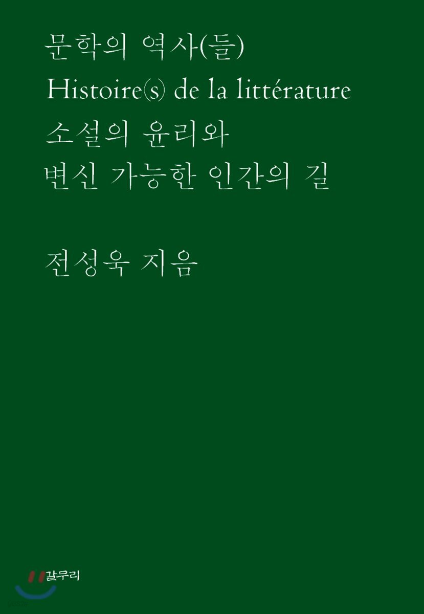문학의 역사(들)