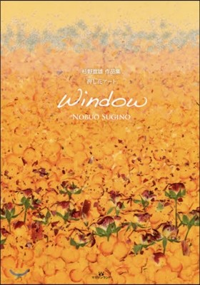 ߴ㪷- Window
