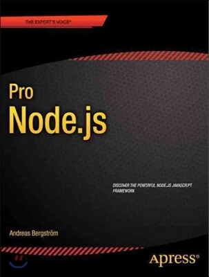 Pro Node.js