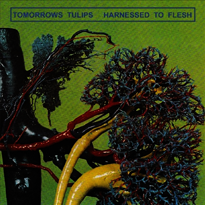Tomorrows Tulips — Harnessed To Flesh 앨범 커버