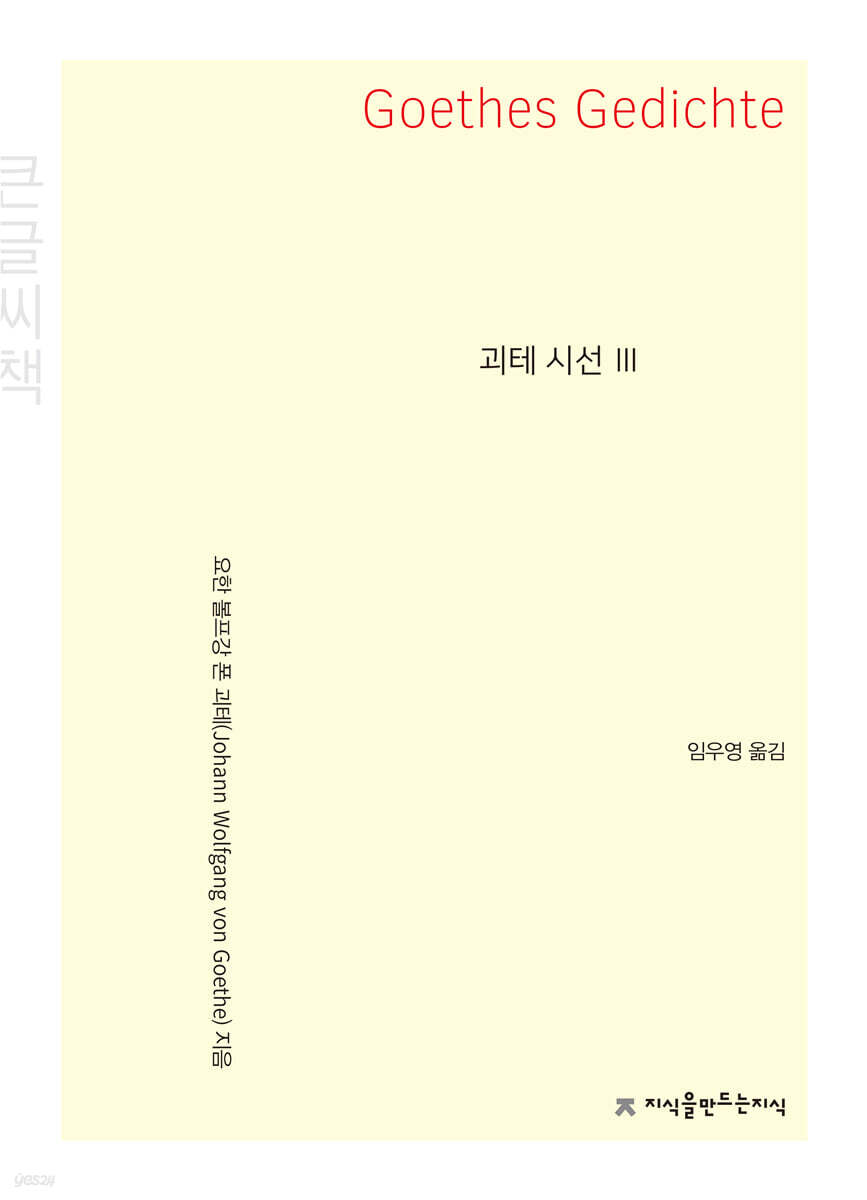 괴테 시선 3 (큰글자책)