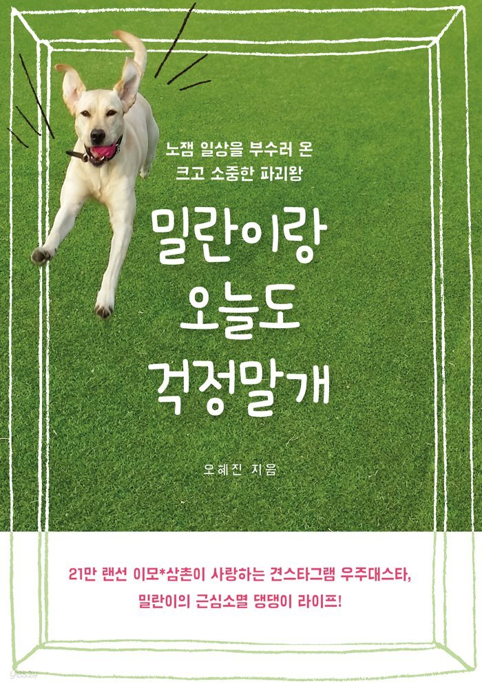 밀란이랑 오늘도 걱정말개