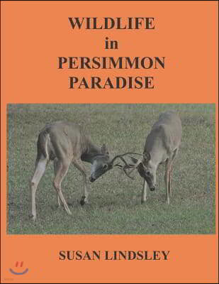 Wildlife in Persimmon Paradise