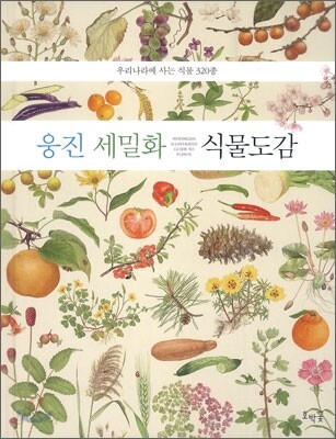 웅진 세밀화 식물도감