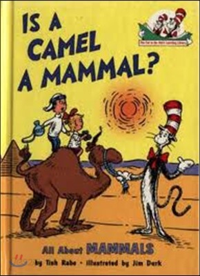 Is a Camel a Mammal?