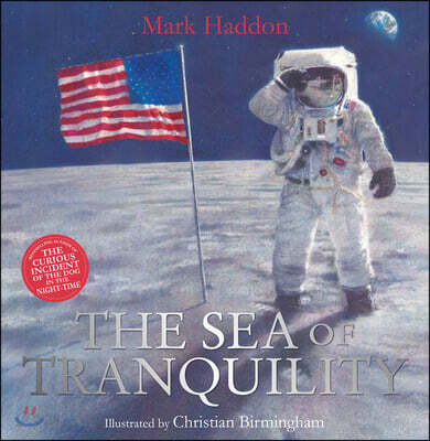 The Sea of Tranquility